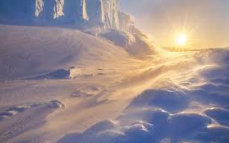 Arctic